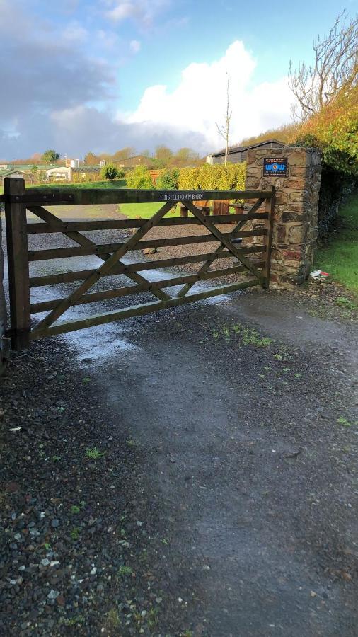 Thistledown Lodge! 5 Minutes From Beach! Free Cancellation! Haverfordwest Kültér fotó